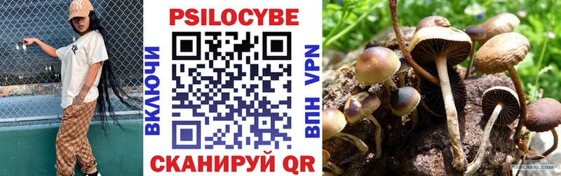 Псилоцибиновые грибы Psilocybe  где продают наркотики  Пролетарск 